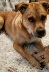 Tall Tails TALL TAILS NATURAL LEATHER BONE 6"