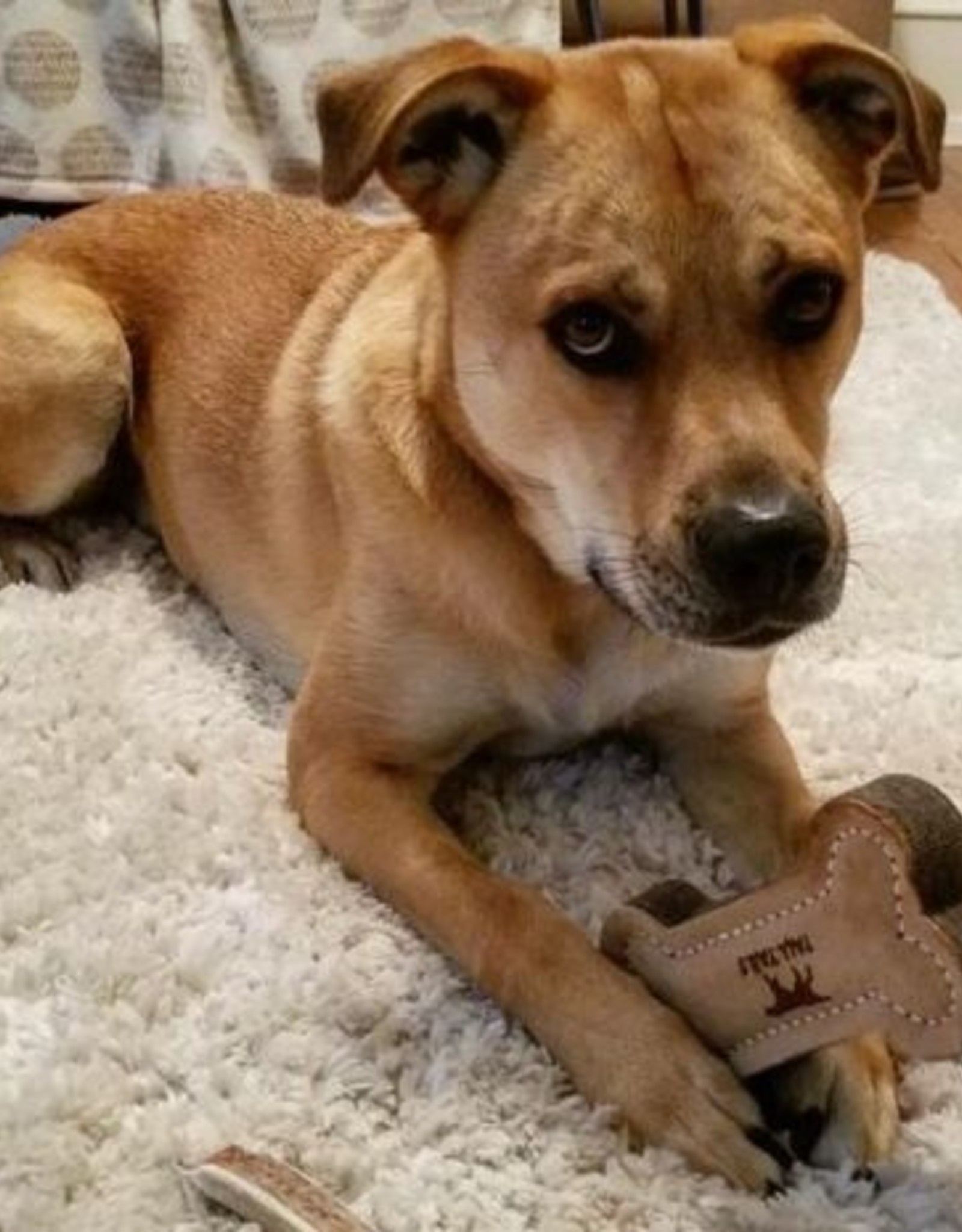 Tall Tails TALL TAILS NATURAL LEATHER BONE 6"