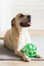 JW Pet JW HOL-EE ROLLER 4.5"/MEDIUM