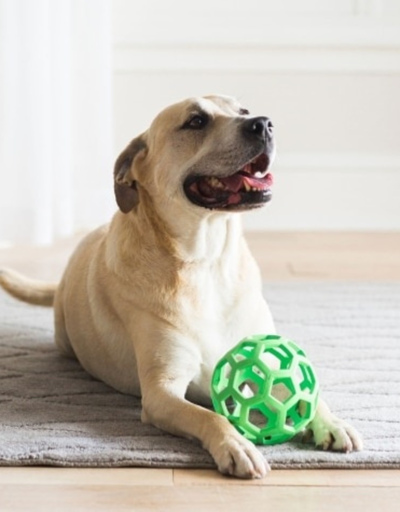 JW Pet JW HOL-EE ROLLER 5.5"/LARGE