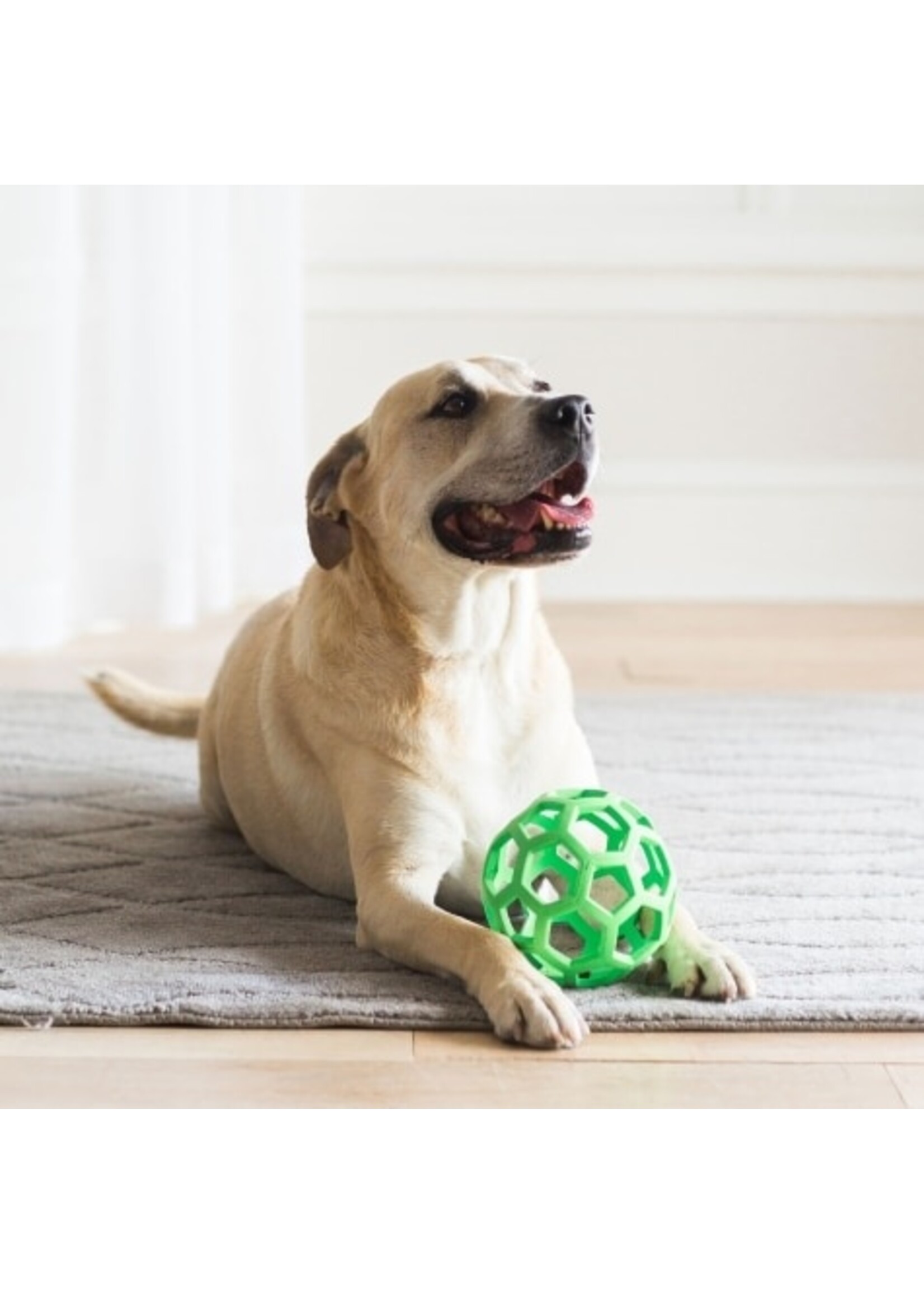 JW Pet JW HOL-EE ROLLER 5.5"/LARGE