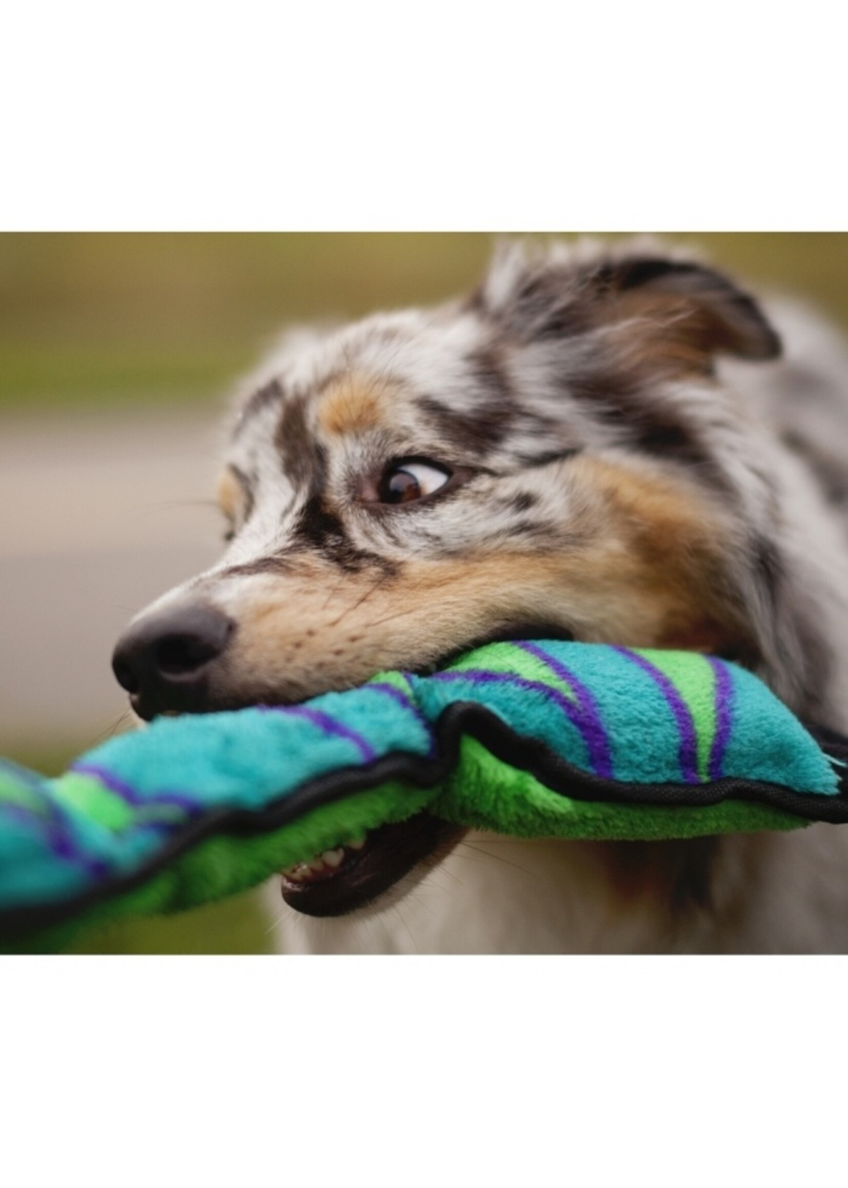 Outward Hound INVINCIBLE SNAKE BLUE/GREEN 3SQK