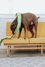 OUTWARD HOUND INVINCIBLE SNAKE GINORMOUS