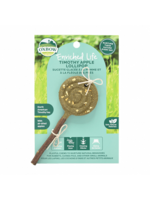 Oxbow Oxbow Animal Health Enriched Life Timothy Lollipop Apple Small Animal Chew
