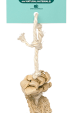 Oxbow OXBOW TOY NATURAL PLAY DANGLY W/ SM RATTAN BALL