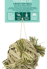 Oxbow Oxbow Animal Health Enriched Life Crazy Hay Ball Small Animal Toy