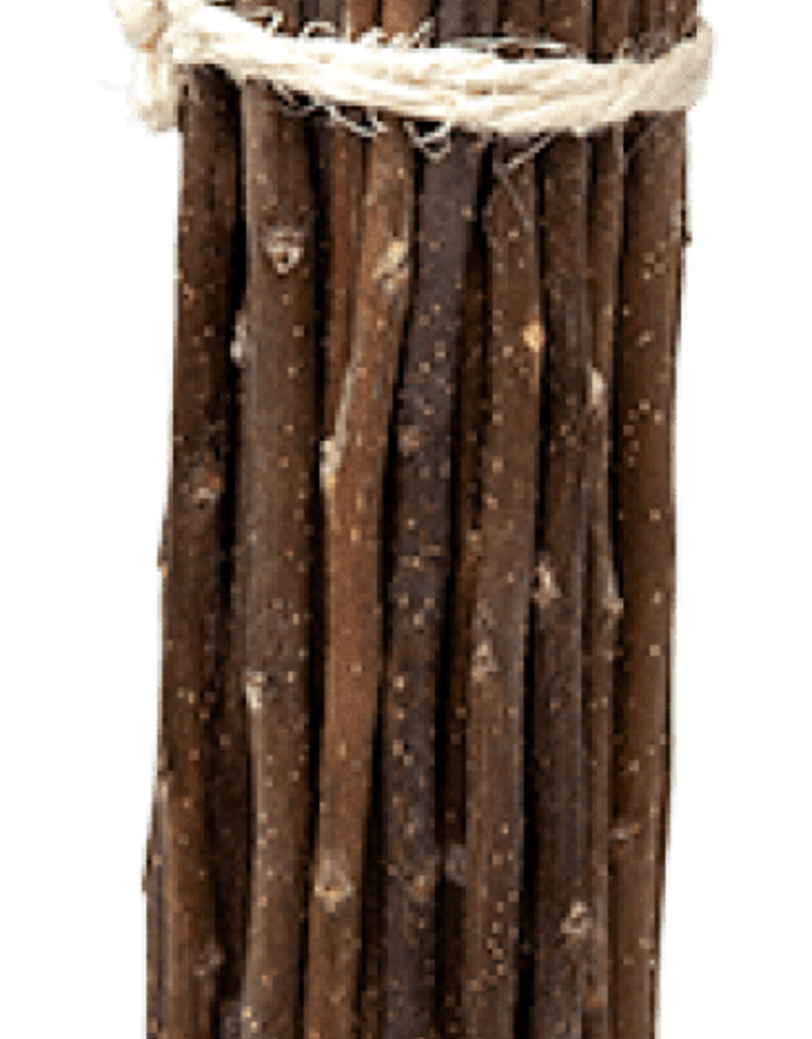 Oxbow Oxbow Enriched Life Apple Stick Bundle for Small Animals