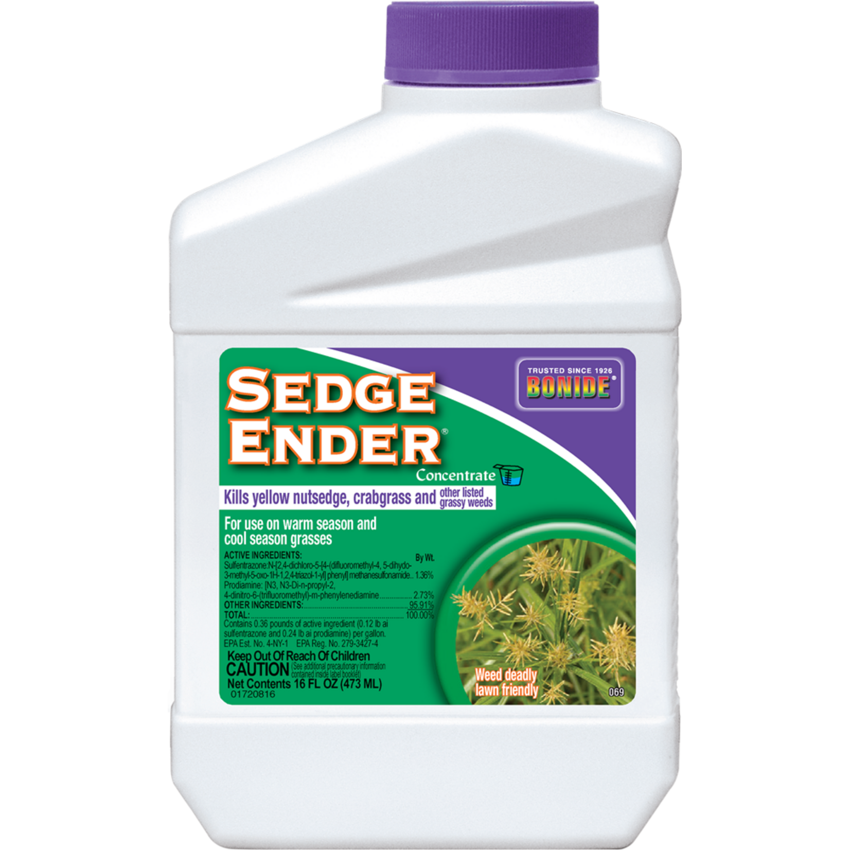 BONIDE SEDGE ENDER CONC 16OZ