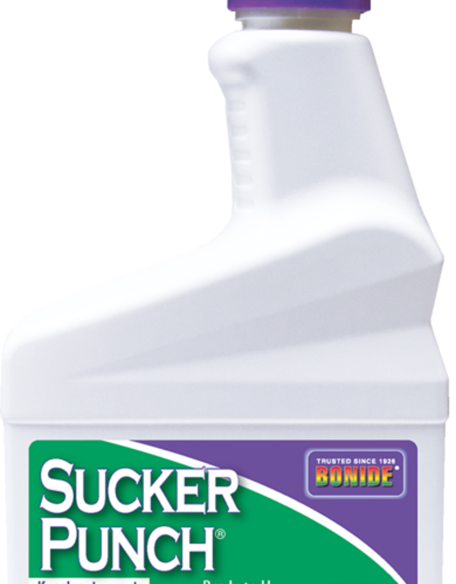 BONIDE SUCKER PUNCH 16OZ