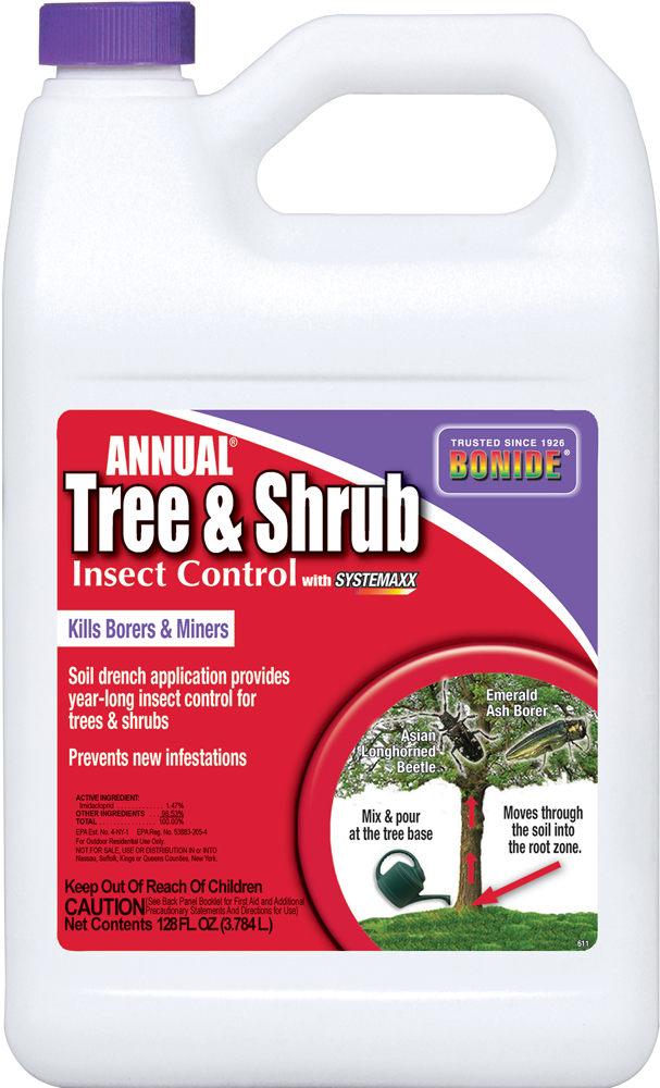 bush de brunt ハーモニー25 Burning Bush/ Dwarf - Pine Lane Nursery