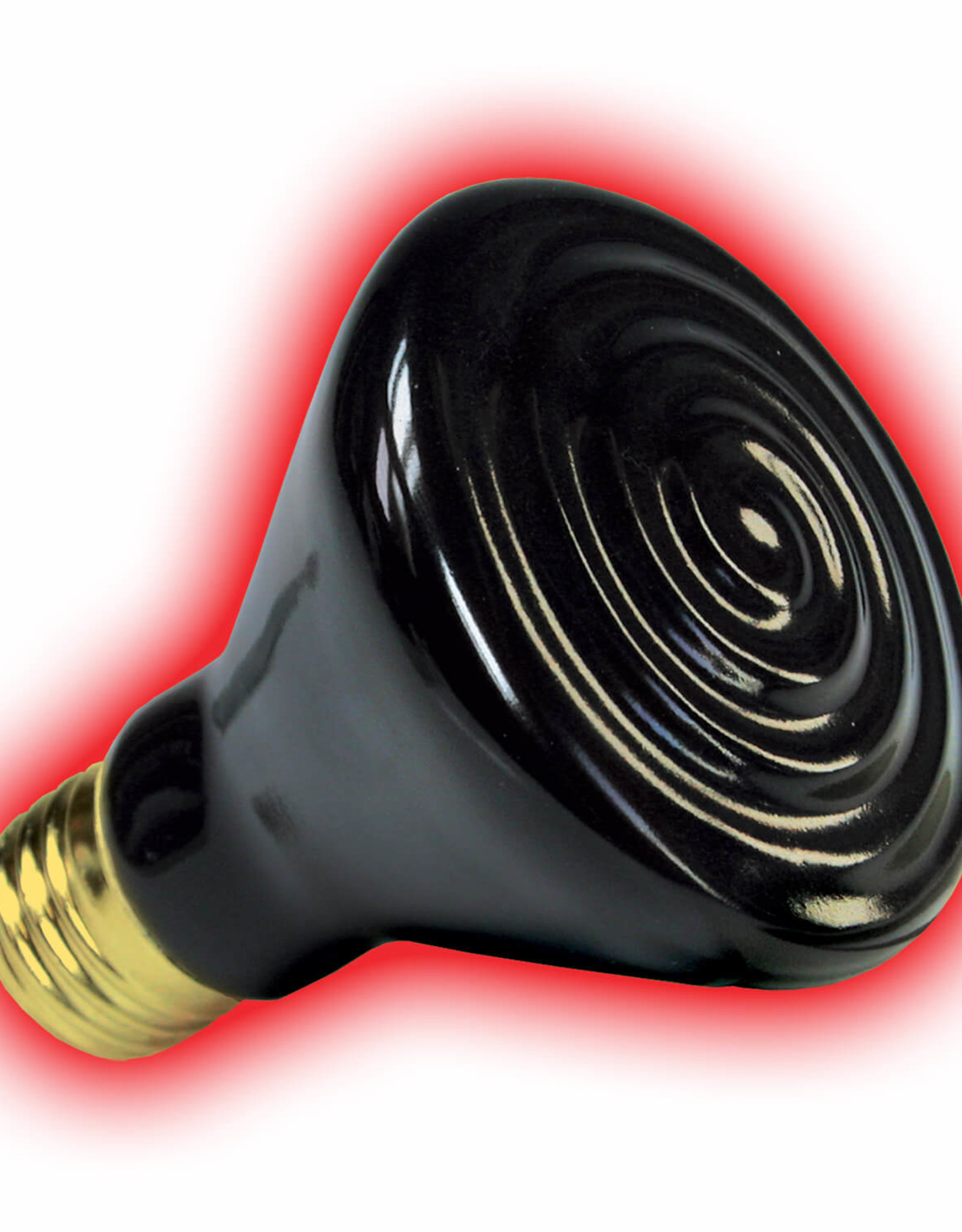 Zilla ZILLA CERAMIC HEATER 50W