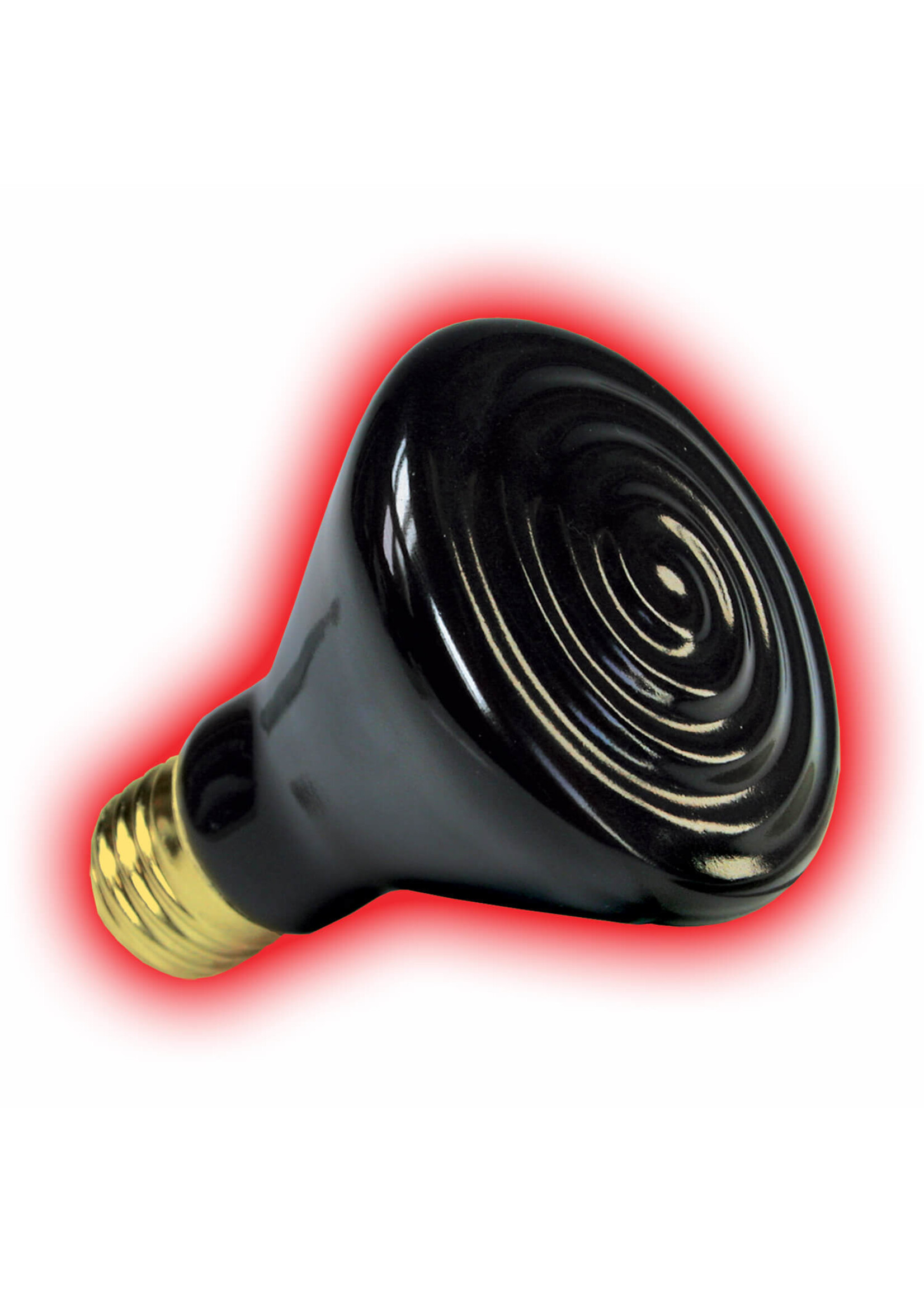 Zilla ZILLA CERAMIC HEATER 50W