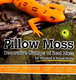 GALAPAGOS GALAPAGOS PILLOW MOSS GREEN 4 QT