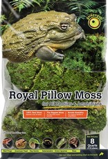 GALAPAGOS GALAPAGOS ROYAL PILLOW MOSS 8QT