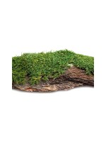 Galapagos Galapagos Basking Bark Natural - 1 piece