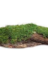 Galapagos Galapagos Basking Bark Natural - 1 piece