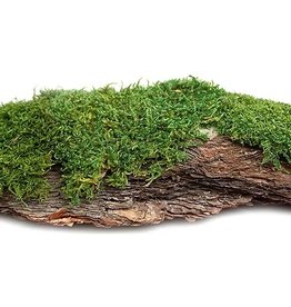 Galapagos Galapagos Basking Bark Natural - 1 piece