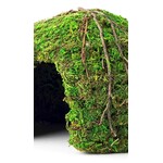 Galapagos Galapagos Mossy Dome Terrarium Hideaway Fresh Green - 6 in