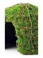Galapagos Galapagos Mossy Dome Terrarium Hideaway Fresh Green - 6 in