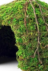 Galapagos Galapagos Mossy Dome Terrarium Hideaway  Fresh Green  1 Each/6 in