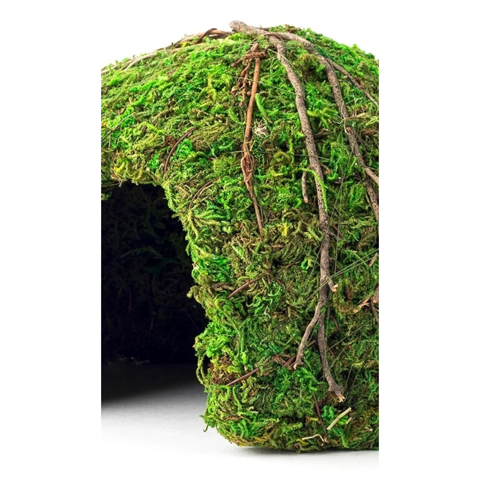 Galapagos Galapagos Mossy Dome Terrarium Hideaway Fresh Green - 6 in