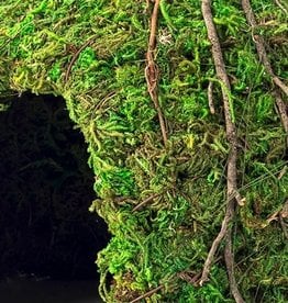 Galapagos Galapagos Mossy Dome Terrarium Hideaway  Fresh Green  1 Each/6 in