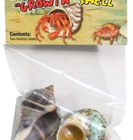 ZOO MED LABS INC ZOOMED HERMIT CRAB SHELL 2 MEDIUM