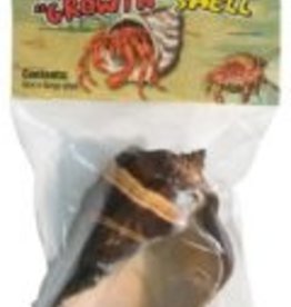 ZOO MED LABS INC ZOOMED HERMIT CRAB SHELL 1 EXTRA LARGE