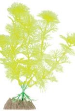 SPECTRUM BRANDS GLOFISH YELLOW FERN MD