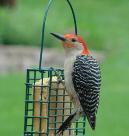 WOODLINK WOODLINK SUET CAGE