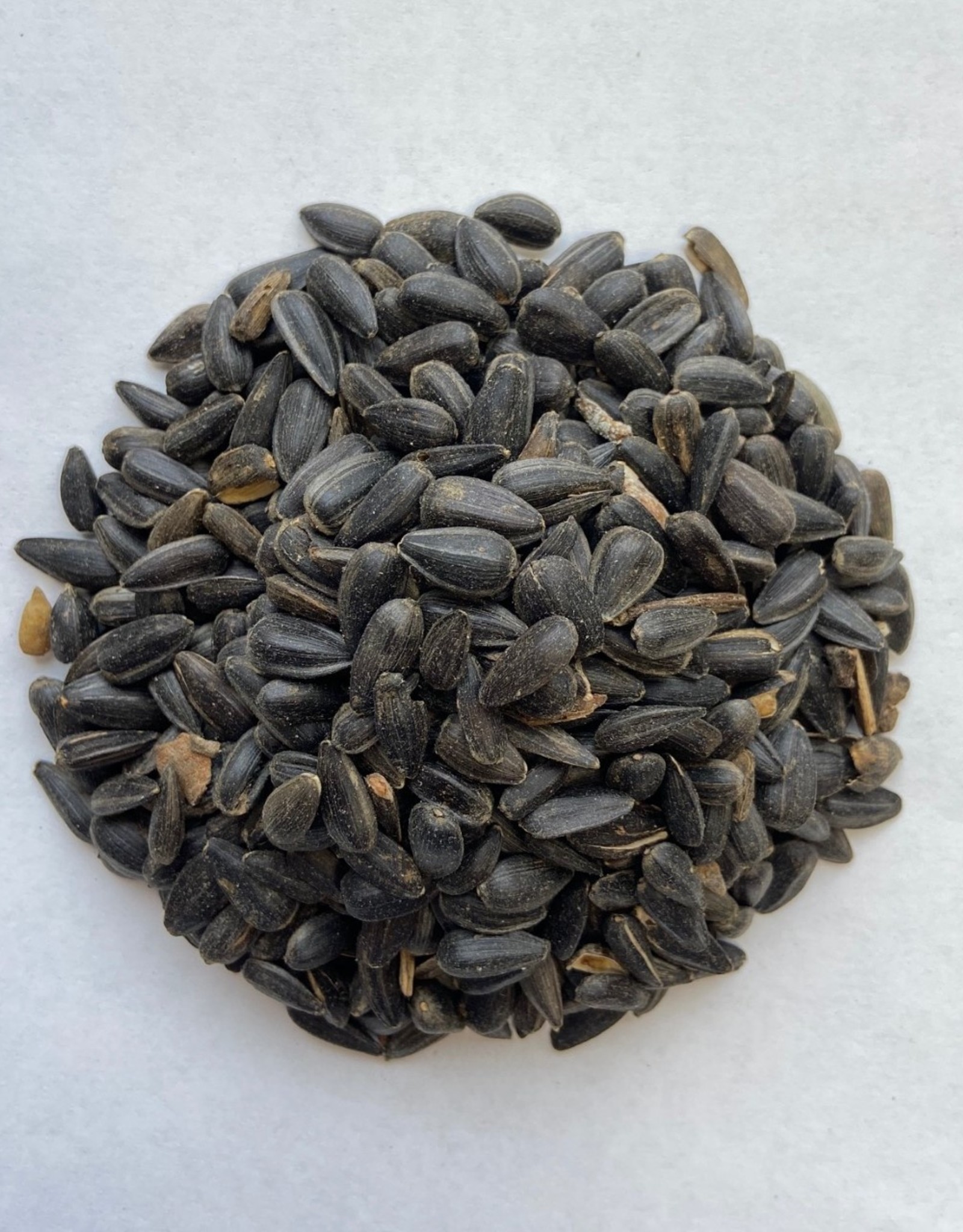 BLACK OIL SUNFLOWER 50LBS