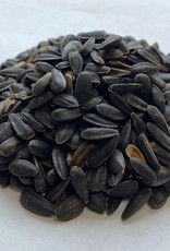 BLACK OIL SUNFLOWER 50LBS