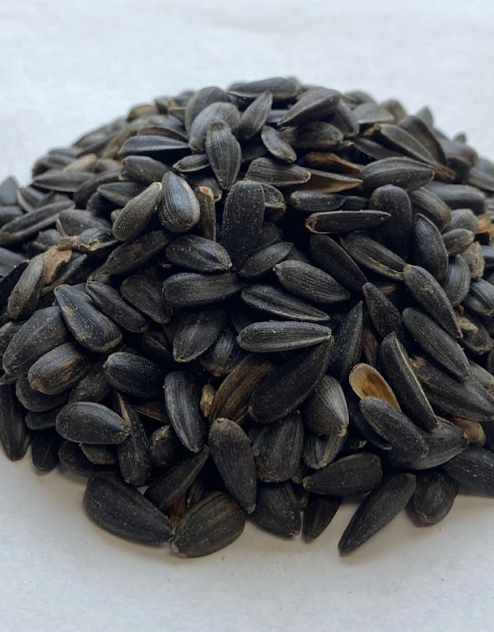BLACK OIL SUNFLOWER 50LBS