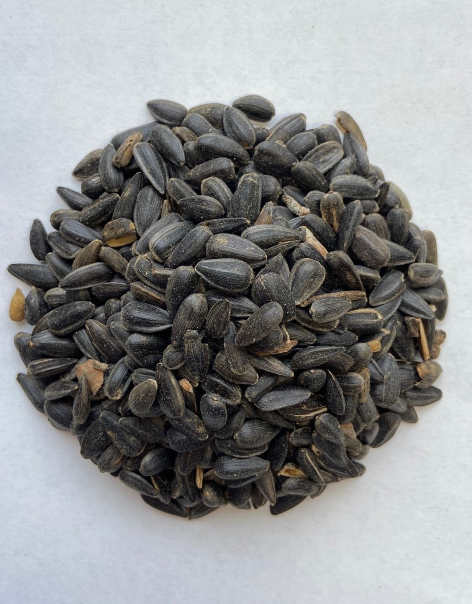 UNBRANDED BLACK OIL SUNFLOWER 25LBS (NOT STRIPED)