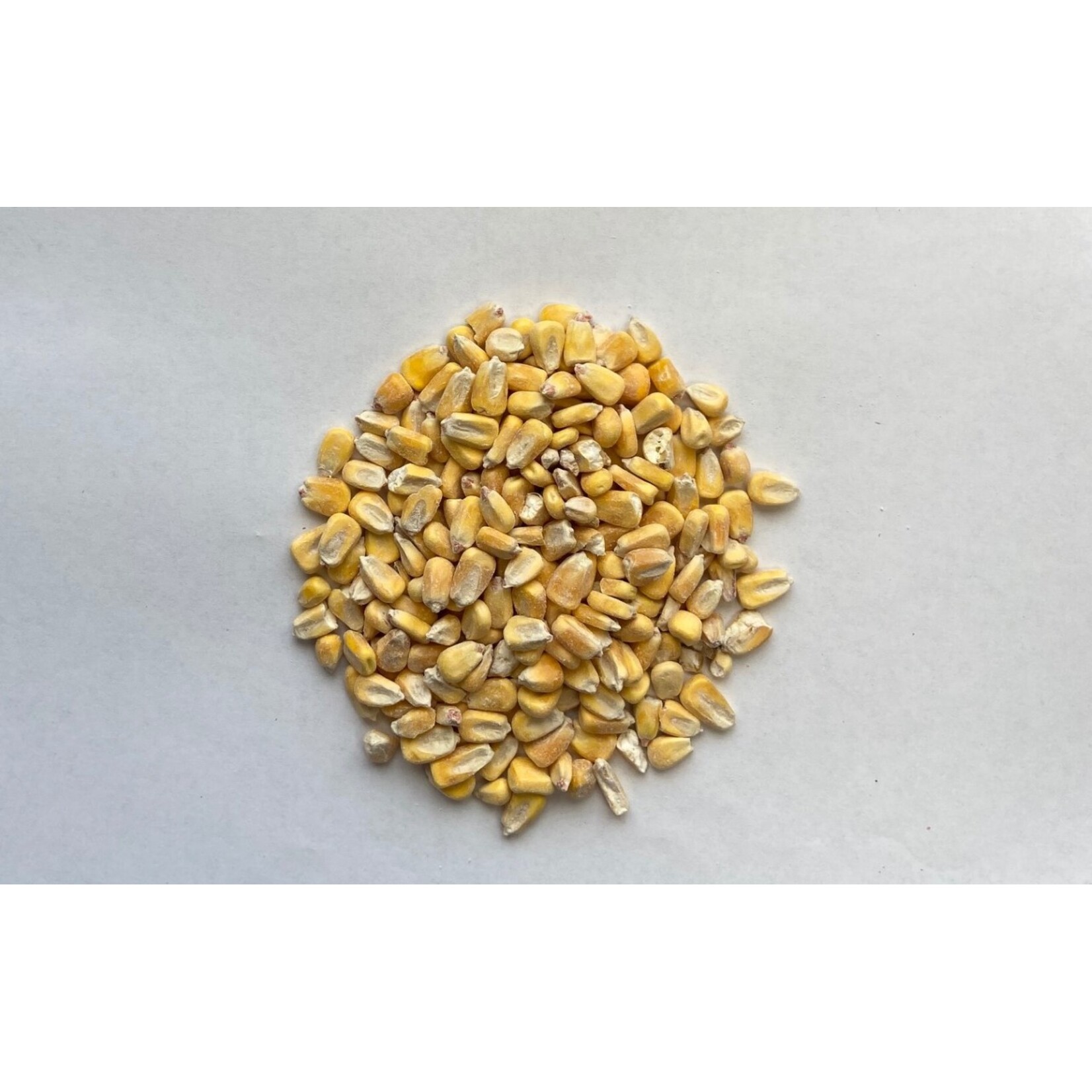 Oley Valley SHELLED WHOLE CORN 50LBS