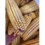 Oley Valley COB CORN 50LBS