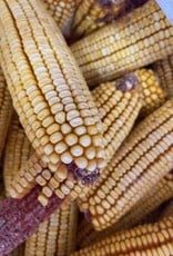 OLEY VALLEY COB CORN 50LBS