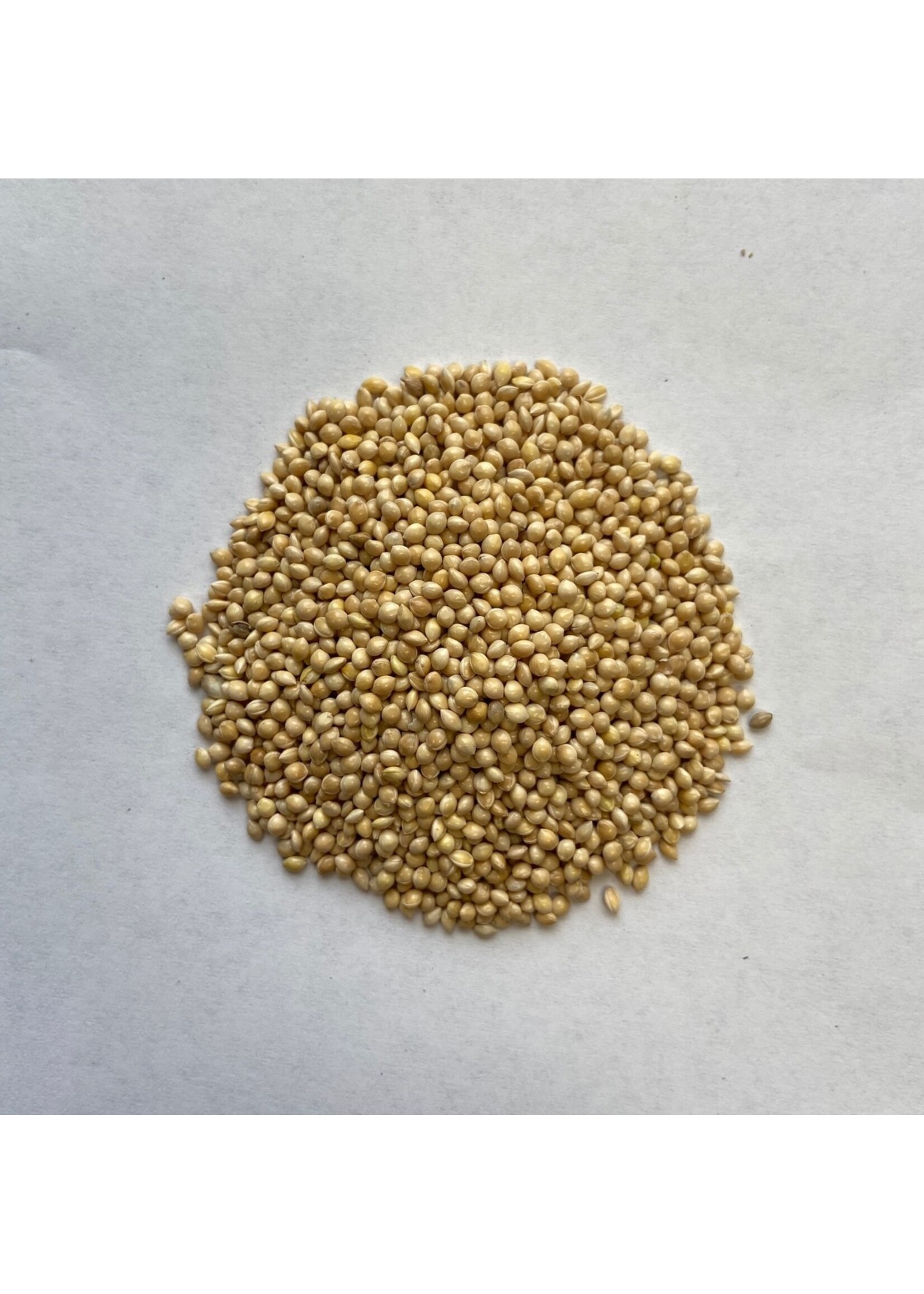 WHITE MILLET 50 LBS