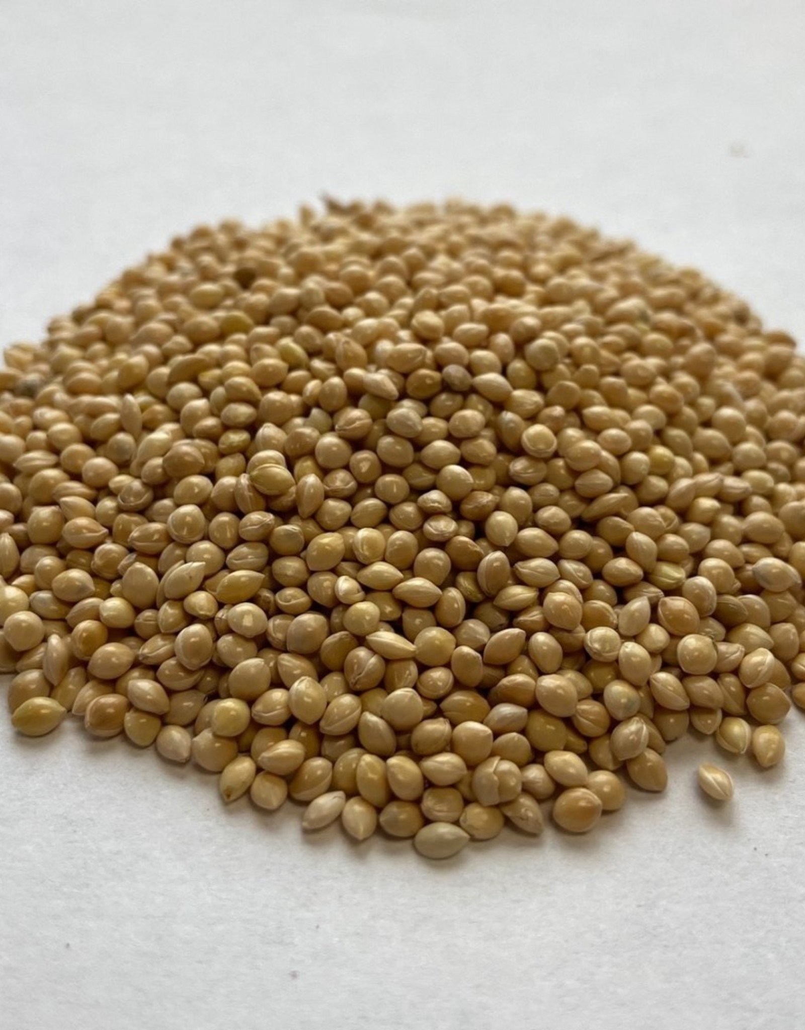 WHITE MILLET 50 LBS