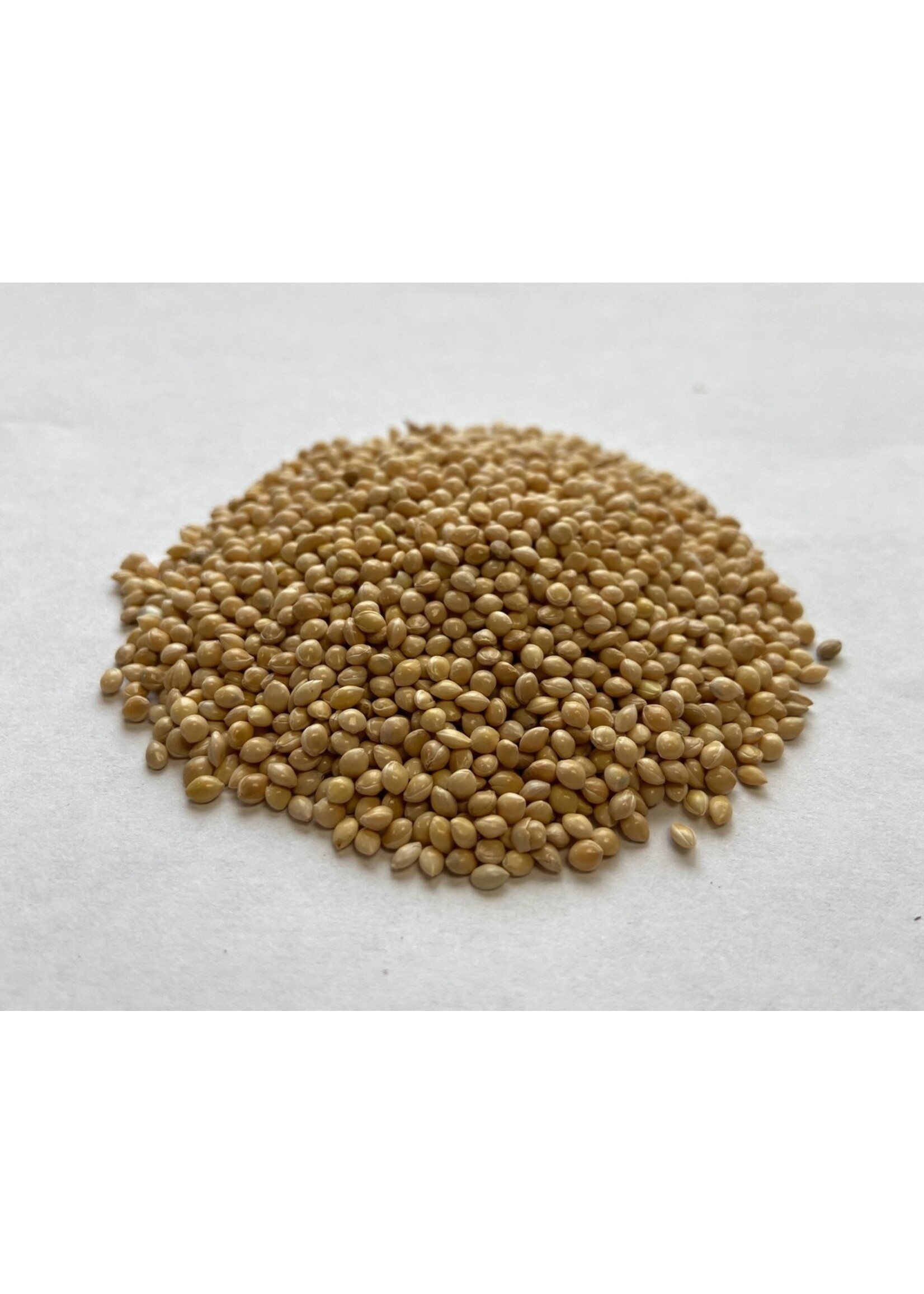 WHITE MILLET 50 LBS