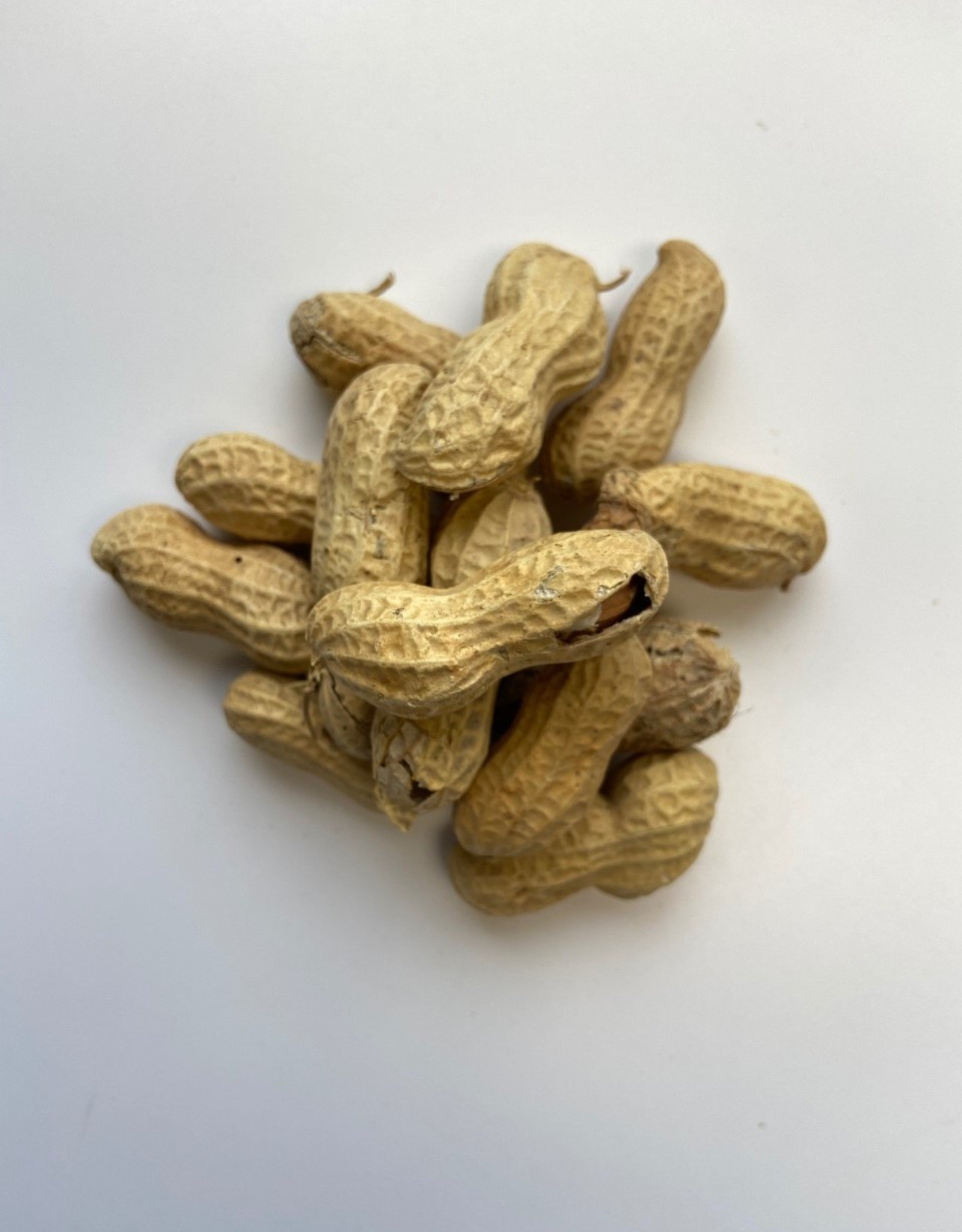 PEANUTS RAW IN SHELL 50 LBS