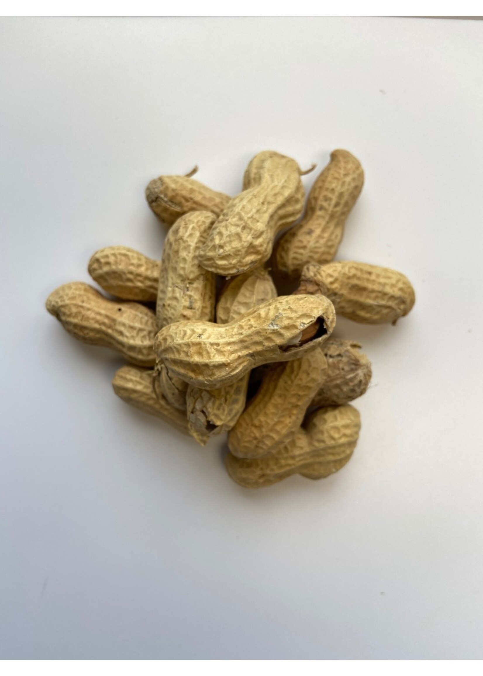 PEANUTS RAW IN SHELL 50 LBS