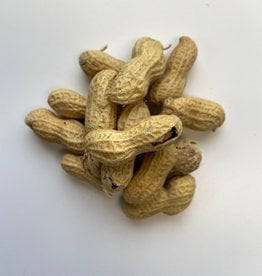 PEANUTS RAW IN SHELL 50 LBS