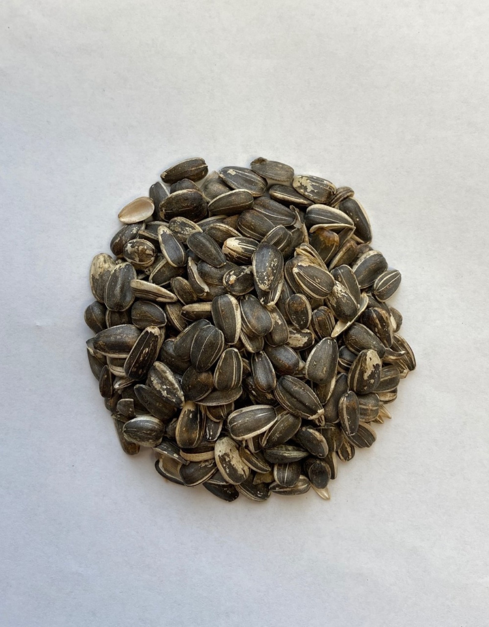 STRIPED SUNFLOWER SEED 25 LBS