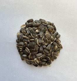 STRIPED SUNFLOWER SEED 25 LBS