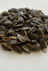 STRIPED SUNFLOWER SEED 25 LBS