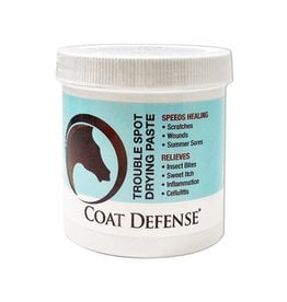 HORSEPOWDER INC COAT DEFENSE TROUBLE SPOT PASTE 10 OZ