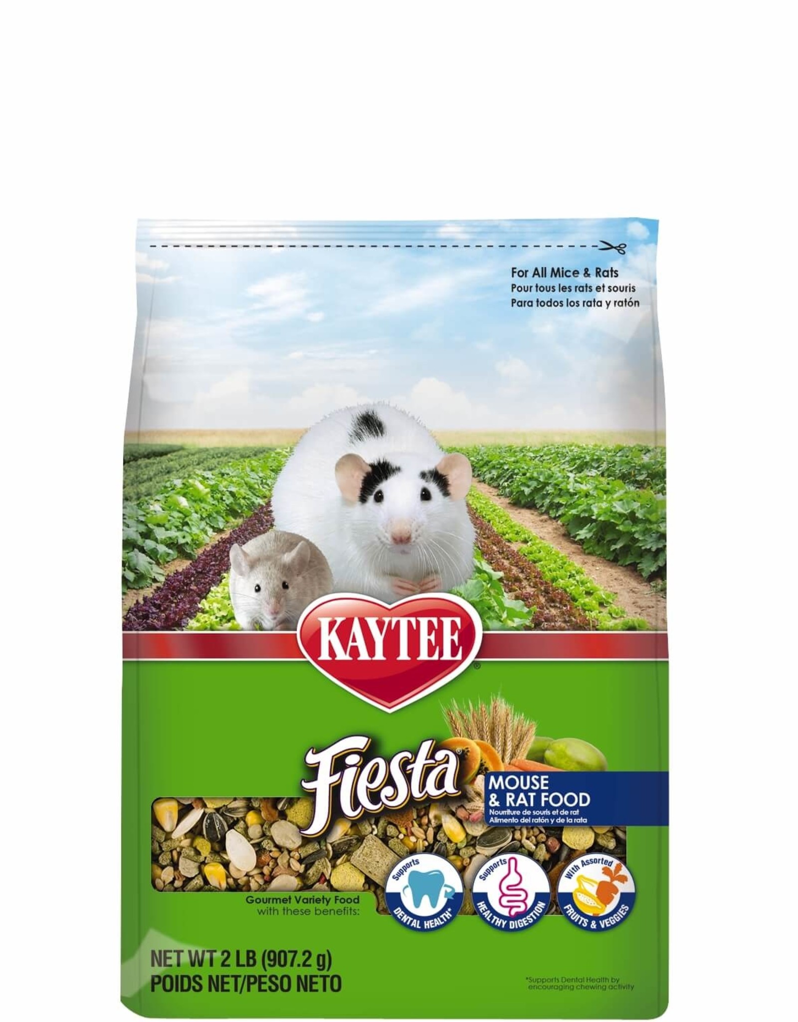 Kaytee KAYTEE FIESTA RAT & MOUSE 4.5LBS
