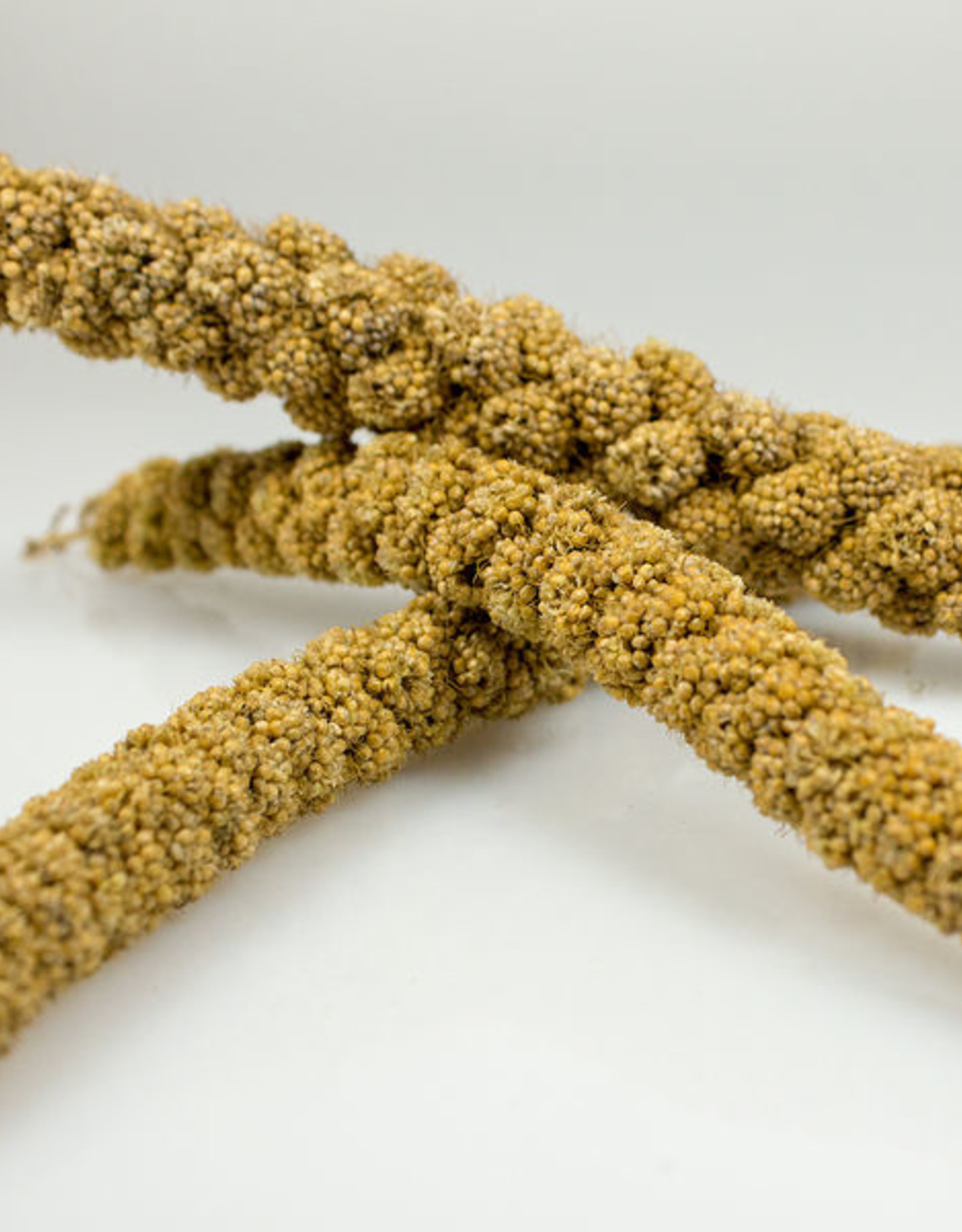 Vitakraft Sun Seed Sunseed Sunsations Millet Spray Dry Small Animal Treat - 8 Oz