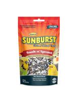 Versele-Laga Higgins Versele-Laga Higgins Sunburst Soak n Sprout Small Bird Treat - 3 oz.